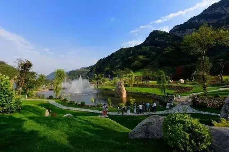 惯杨旅游信息网